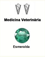 Medicina Veterinria