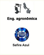 Engenharia Agronmica